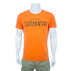 Round Neck T-Shirt DTS 2035